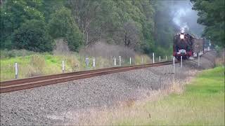 NSWGR 5917