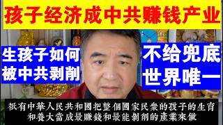 翟山鹰：孩子经济成了中共最赚钱的产业丨在中国生孩子是如何被中共剥削的