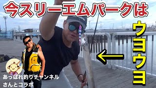 【釣り】今噂のスリーエムに太刀魚大量発生！