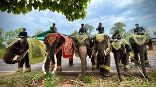 เเต่งตัวไปงานวันเกิดอุ้มบุญ❗️