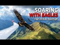 Epic Glider Flight Over Alps With Eagles Soaring Nearby