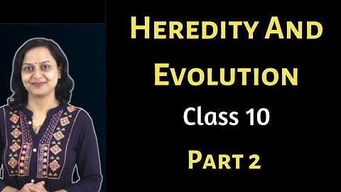 🔴Heredity And Evolution | Part 2 |Class 10 | Biology | Maharashtra State Board