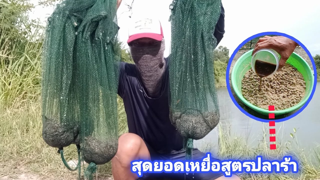 ดักกุ้งฝอยด้วยเหยื่อสูตรปลาร้า มันสุดยอดมากกุ้งเข้าเต็มๆๆ ท้ายคลิปเอากุ้งไปขายหน้าโรงงาน!! ep.292