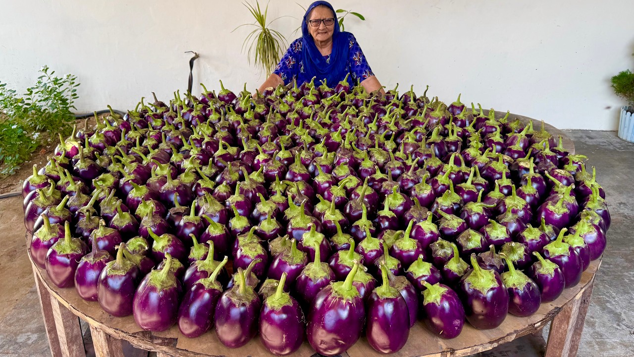BIG BRINJAL BHARTA | Without Roasting | Asmr Cooking | Veg Village Food
