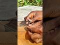 100% Reliable Rope Knot Used by Experts