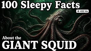 Giant Squid Encounters | The Mysterious Giant Hidden in the Deep Ocean