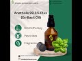 Sivaroma Anethole 99 5% Plus (Ex Basil Oil)