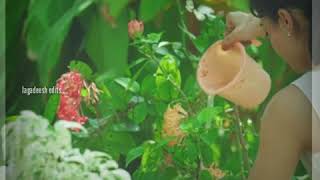 Nee neeli kannullani aakaasame song whatsapp status 2