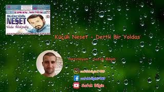 Kücük Neşet - Dertli Bir Yoldaş ( Neşet Abalıoğlu ) Resimi