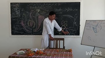 Pollination Reproduction in Plants Sindhi