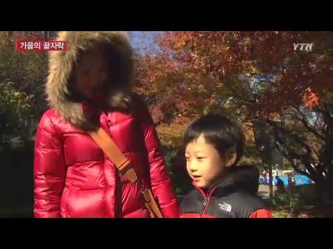 추워진 날씨...초겨울 '성큼' / YTN