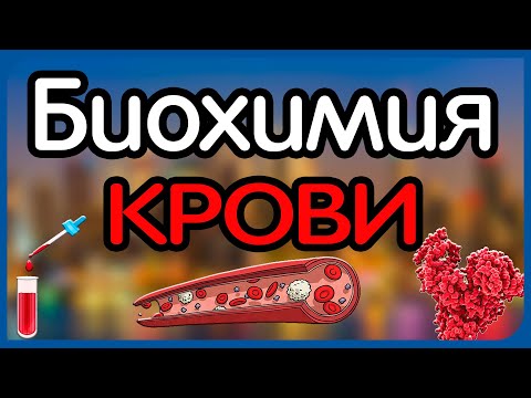 Биохимия. Лекция 53. Биохимия крови