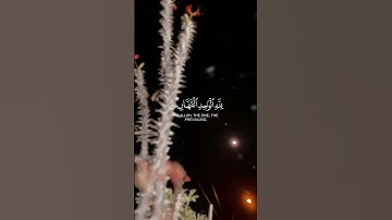لِّمَنِ الْمُلْك الْيَوْمَ ۖ♥️آيات عطرة من سورة غافر بصوت القارئ الشيخ محمد اللحيدان💜 #قرآن #رمضان