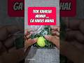 TRIK RAHASIA, MEWAH GA HARUS MAHAL#education#ideas#tutorial#tips #information#cara