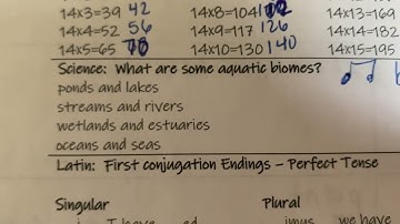 CC Cycle 2 Week 8: Science