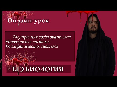 Внутренняя среда организма: КРОВЬ И ЛИМФА для ЕГЭ |ЕГЭ БИОЛОГИЯ|Freedom|