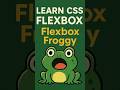 Master CSS Flexbox in 2025  | Flexbox Froggy | Malayalam | by Sivaprasad E V