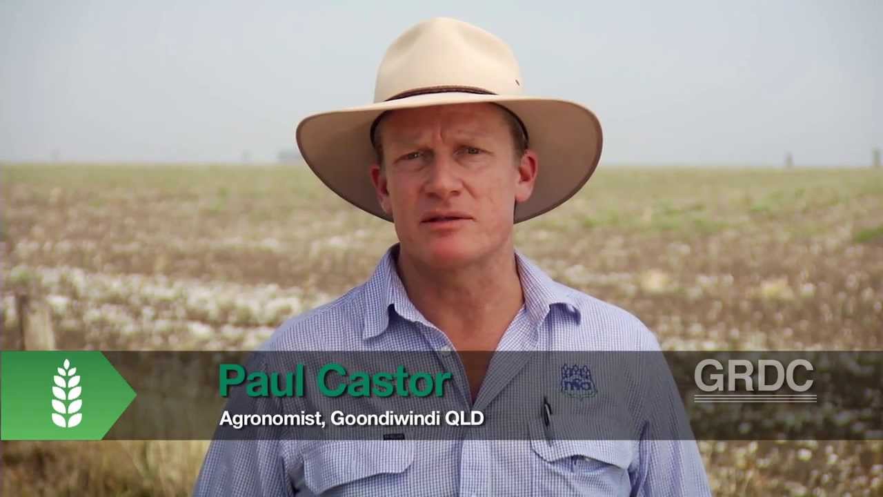 IWM: Crop Competition for Weed Management - Narrow Row Spacings