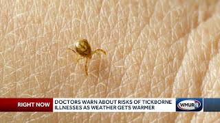 Doctors warn Granite Staters about risks of tickborne illnesses as weather gets warmer