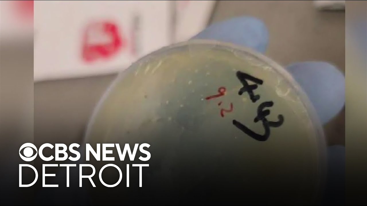 Chinese national accused of smuggling biological materials into Michigan pleads