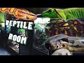 Set Up Your REPTILE ROOM PROPERLY!