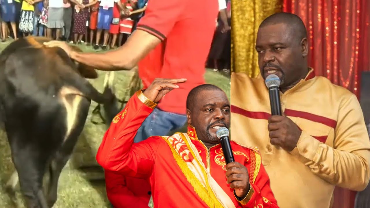 Waww  gade koman yon Pastè  onore apot Ebel tout moun sezi bagay sa a gade bèt mezanmi 😳