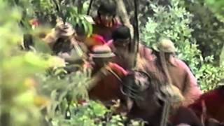 CUMANDÁ - César Carmigniani