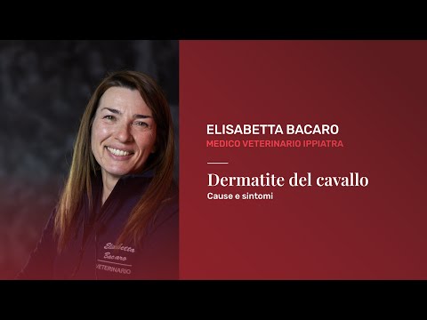 Video: Allergia Al Cavallo: Cause, Sintomi E Trattamenti