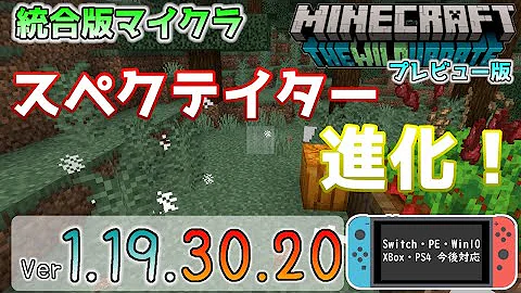 ドライトマイクラ