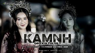 DJ KAMNH TRAP PARTY VIBES SAD OPO KUI TULUS ? VIRAL TIKTOK 2025 - BRY Project X FarRMX