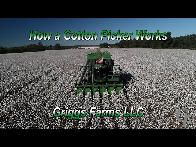 How A Cotton Picker Works (4K)