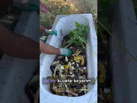 Video: At Gübresini Kompostlama: Gübre Olarak At Gübresini Nasıl Kullanırım