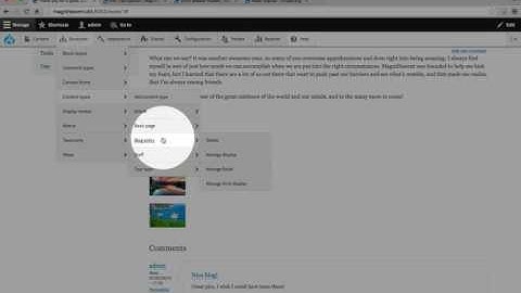 137. How to troubleshoot issues with CSS from Asset Injector not working
