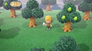 ACNH: Hideaway 26 - Adding More Paths, Villager Chats, and Bridge Struggles!