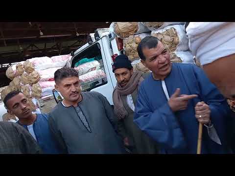 Potatoes In The Obour Market Latest Prices And New Arrivals 