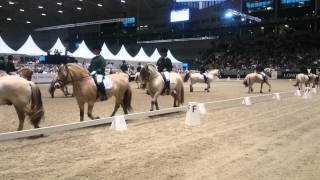 Fjordhestkvadrilje Oslo Horseshow 2014