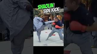 Learned Shaolin Side Kicks #tutorial #kick #martialarts #shortfeed #shortvideo #short #youtubeshort