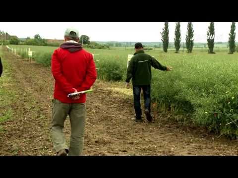 Videó: Az Egyesült Államok Lemarad A Többi Mezőgazdasági Nemzettől A Káros Peszticidek Betiltása Terén