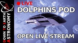 🔴Dolphins pod - Open live stream with Down To Earth Astronomy screenshot 5