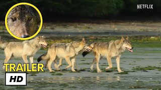 Island of the Sea Wolves Trailer Netflix