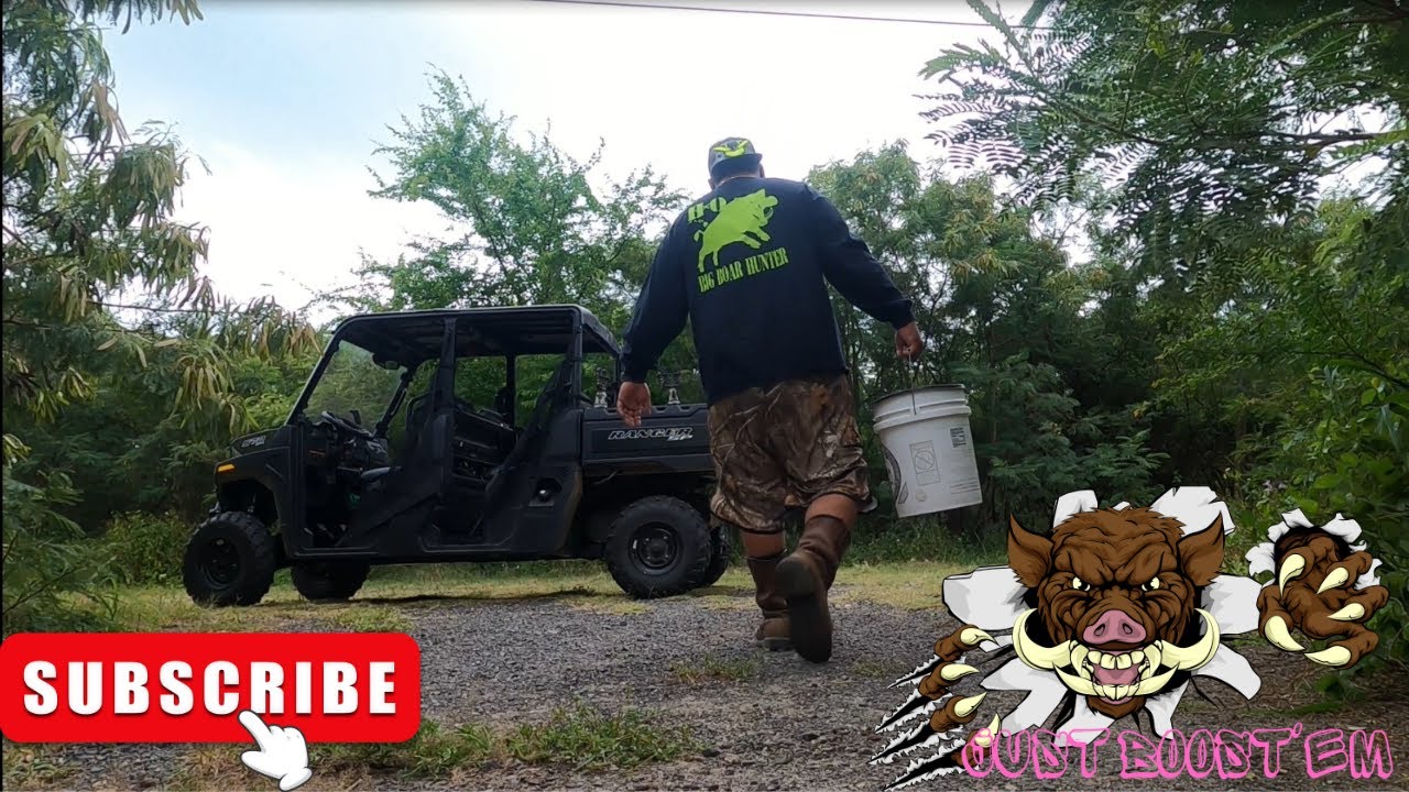VLOG/Hunting/Trapping wild Boars on Oahu Ep.17 YouTube