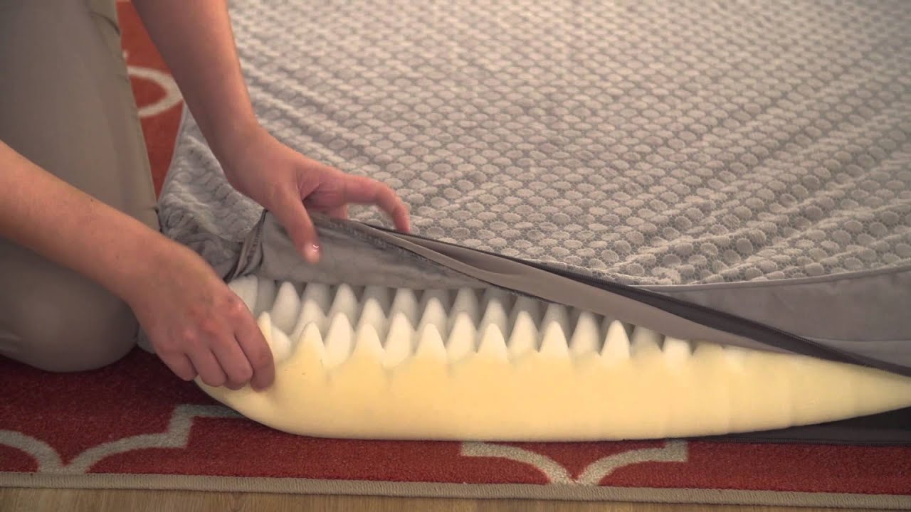 pet supermarket clinic Top 5 Winter Pet Hazards - Petco