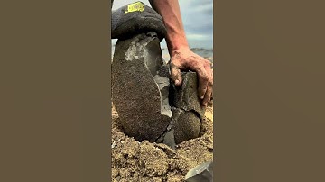 MEGA Boulder CRACKED For Fossils!