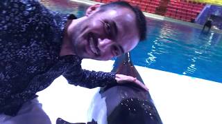 Delfin sizga salom yo’lladi! WOW!