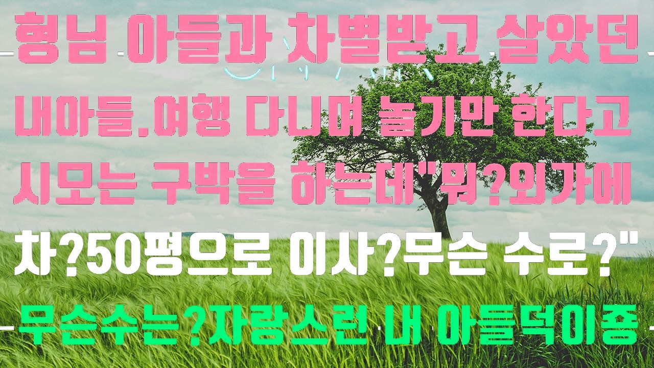 [실화사연]형님 아들과 차별을 받고 자란 내 아들 시모는 여전히 구박을 하는데  외가에 차 이사를 간다고 어떻게 어떻게는 자랑스런 내 아들 덕이죵!ㅋㅋ[신청사연][썰][사이다썰]