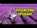 Куда ХОТЯТ все ДЕВУШКИ. Проверила лавандовые поля. И Прованс не нужен!