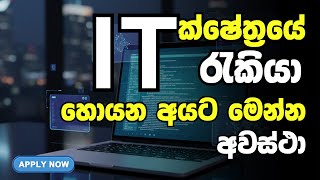 It Job Vacancy 2025 Privet Job Vacancy How To Apply