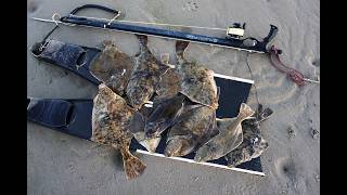 Spearfishing flatfish paradise, hunting Plaice &amp; Flounder in North Wales