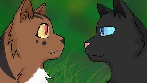 Tragedies AMV (By DuckFeatherz) (CW)