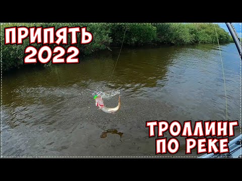 Щука сошла с ума. Троллинг по Припяти. Рыбалка 2022 Беларусь.